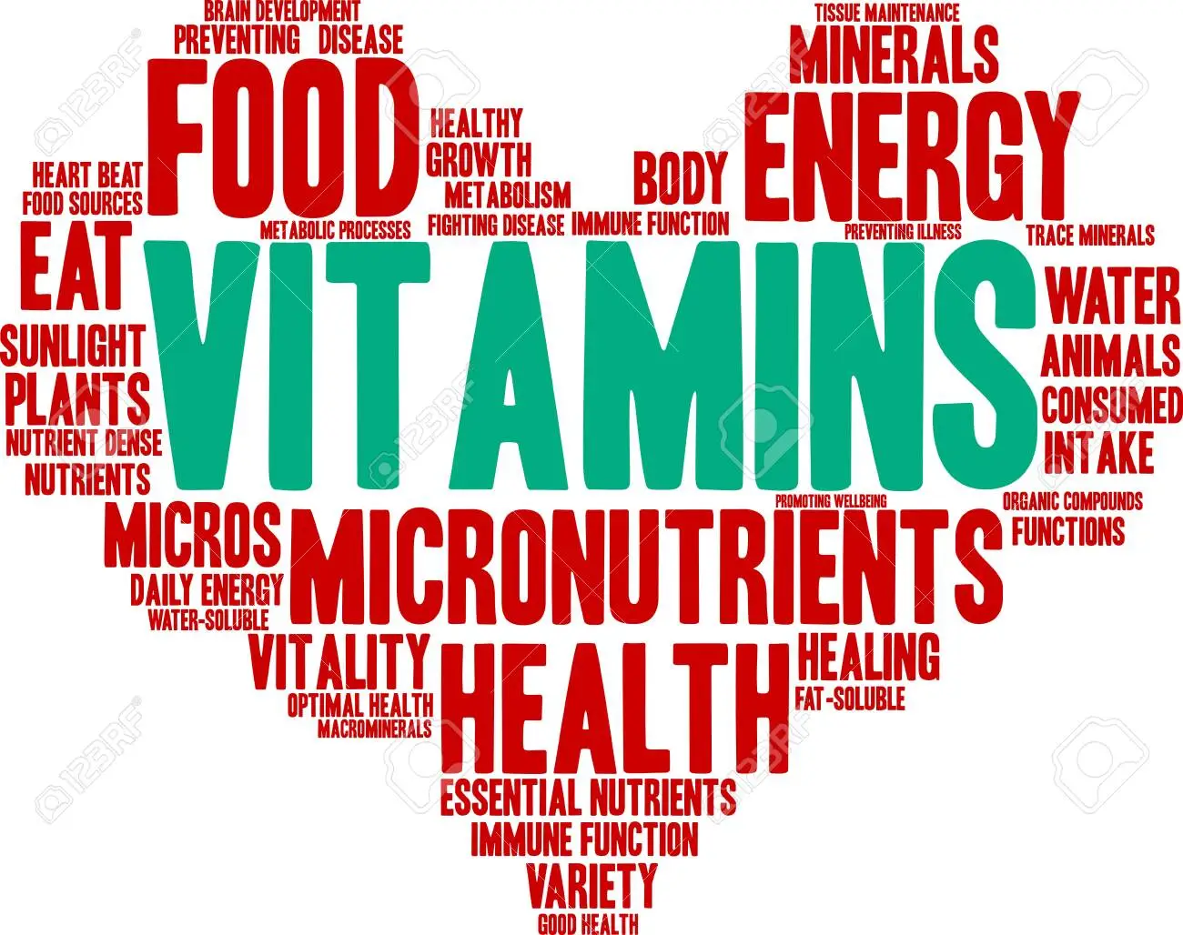 Wordcloud minerals vitamins